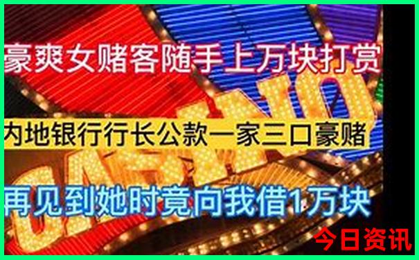 2017年是什么生肖