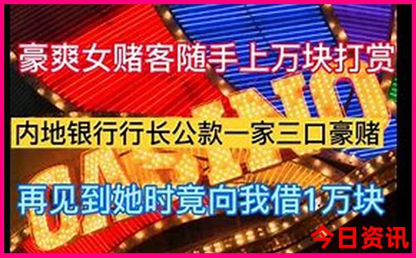 夏天适合旅游地方